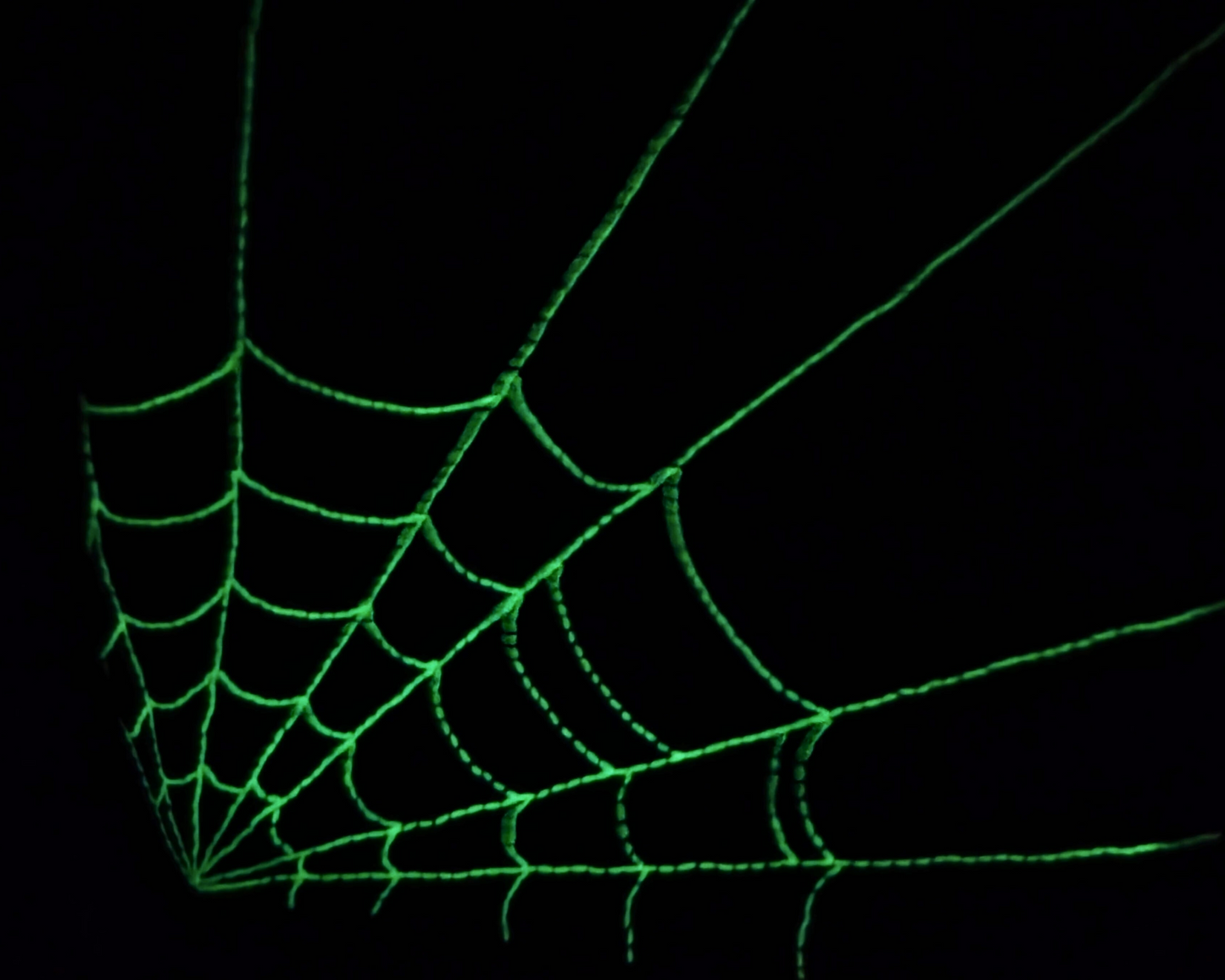 Glow In The Dark Spiderweb Project Bag